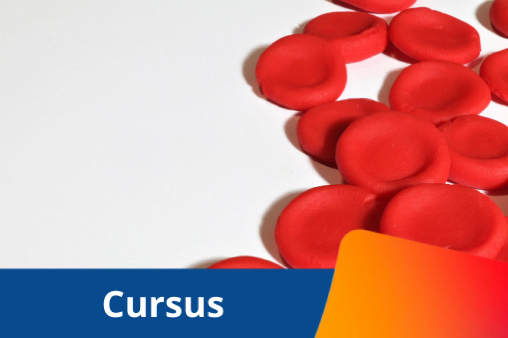 Cursus Praktische Bloedcelmorfologie - website.png