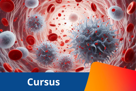 afb hematologie.png