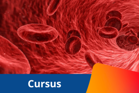 Cursus Stollingsdiagnostiek - website.png